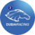 Dubai Racing 2.png
