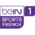 Bein Sports French 1.png