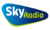 Sky Radio NL.png
