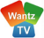 WANTZTV-2018.png